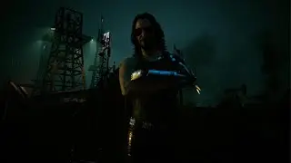 Johnny Silverhands oil fields