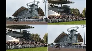 TAE Info des pros Strasbourg - Reims 14092025