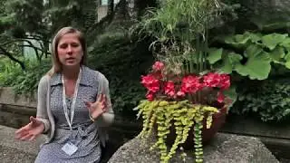 What&rsquo;s it like to be a KBHN trainee?