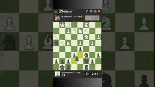 Perfect Game #chess
