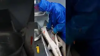 See Fish Cutting Skills #fishcuttingskill #fishcut #fishcooking