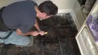 How to Cover Black Tar Floor Mastic...Possible?
