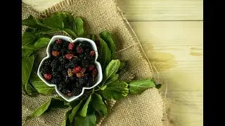 Mulberry (shahtoot) face pack/massage gel for lightening brightening skin| reduce dark spots sunburn