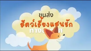KAS Thailand | LIVE Animal Shipping