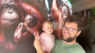 Brookfield Zoo Chicago, Baby&rsquo;s First Zoo Trip