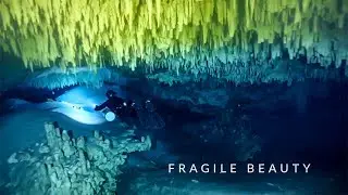 Fragile Beauty