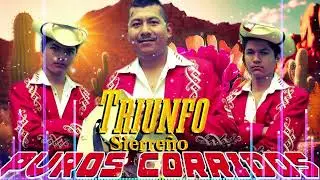 Triunfo Sierre&ntilde;o - Grandes &Eacute;xitos Full Album - Corridos Exitos Mix
