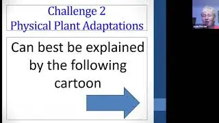 The Challenges of Activities of Daily Living (ADLs) in Dementia Care with Joan Foster