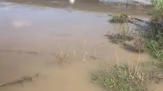 Sun River Flooding (1st Wave) 2018