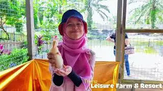 Trong Leisure Farm- Dec 2025