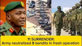 Boko Haram Fighters Surrender: Army Kills 8 in Borno in fresh operation.