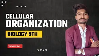 Cellular Organization Explained | Class 9 Biology Sindh Board | Full Lecture in Urdu & Hindi 