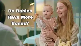 Do Babies Have More Bones Than Adults?