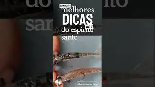 Montagem de jig Head para pescar