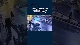 Thief uses forklift for robbery, flees on donkey