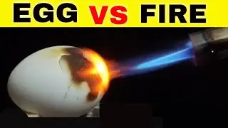 EGG EXPERIMENTS ! EGG VS FIRE ! FIRE VS EGG ! EXPERIMENT VIDEOS ! THE GALAM