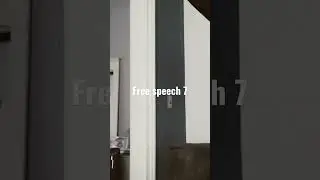 free speech (Whatevs)