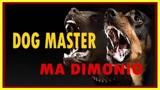 DOG MASTER - MA DIMONIO ✅