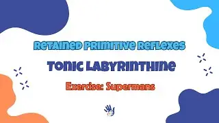 TLR Reflex | Superman Exercise for Core Strength & Spatial Awareness