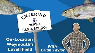 Weymouth F I S H  School