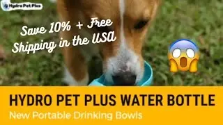 The Hydro Pet Plus Water Bottle