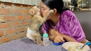 Sweet DAM Get Up & Catch Mom's Face To Kiss After Done Feed Him