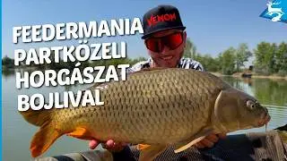 Feedermania: Partk&ouml;zeli horg&aacute;szat bojlival