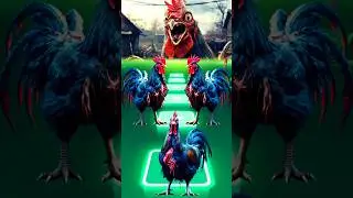 Zombie Rooster🐓| Tiles Hop Animals Dance #tileshop #tileshopedmrush #tileshopgameplay #tileshopgame