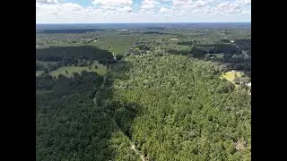 Various Tracts | County Road 4470 | Tyler County, Texas