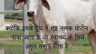 KNOW ALL ABOUT THE MILK