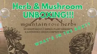 What’s In My Herbal Medicine Haul? 🌿 Unboxing some unique and uncommon herbs PLUS mushroom kit!