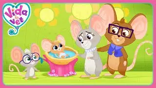 Los Mejores Momentos En Familia (Recopilatorio) | Vida, la veterinaria | Dibujos animados para ni&ntilde;os