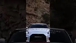 GTR#OPEN LION#creadt by swxft