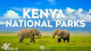 Top 10 Most Beautiful National Parks in Kenya - Travel Video 2025