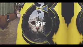 Split Opener - After Effects Template