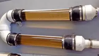 I Build the XpetPee Machine to clean urine odor from oriental rug | PetPeePee