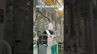 200T/D Rice Milling Plant | Full-Scale Paddy to Packaged Rice Production System #RiceMillPlant