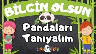 Çocuklar İçin Belgesel | BİLGİN OLSUN - 3 | HAYVANLARI TANIYALIM | HAYVANLARI ÖĞRENİYORUM | PANDA |