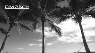 Sugar Ray - Spinning Away (Dim Zach Remix)