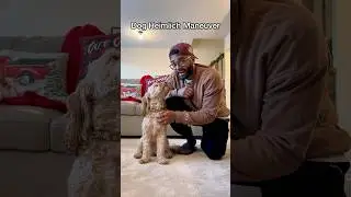 How to Perform the Heimlich Maneuver on Your Dog 😳