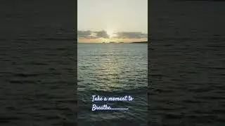 Instant 1 minute calm moment #peace #calm #silence #ocean #sound #asmr #relief #stressrelief
