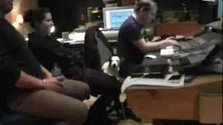 Now Or Never Vocals Sessions