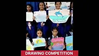 Dolphin conservation awareness 