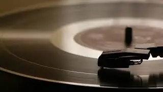 LDWM - Stay True 7