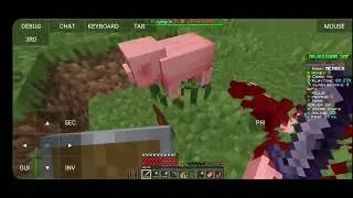 Playing a Rajasthan Smp gameplay video Part--1🚀