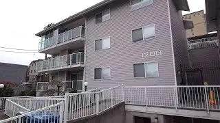 1700 12th Ave S #101 Seattle, WA 98144 | Home for Sale
