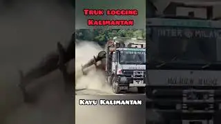 truk logging Kalimantan | kayu Kalimantan raksasa