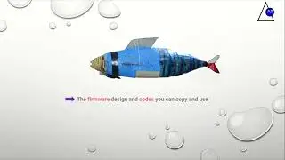 Copying Nature - Robot in the form of a fish (Blue Mackerel) - Part I