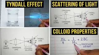Scattering of light | Tyndall effect experiment | Optical properties of colloids