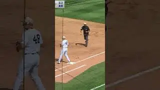 DJ LeMahieu goes to the backhand to steal a hit 💎